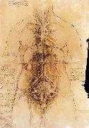 LEONARDO da Vinci The organs of the woman oil painting